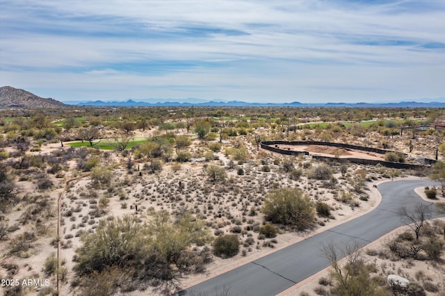 8167 E Leaning Rock Rd Unit 193, Scottsdale, AZ 85266 - mountain view with view of desert