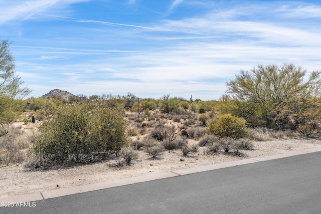 8167 E Leaning Rock Rd Unit 193, Scottsdale, AZ 85266 - view of nature featuring a mountain view