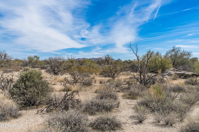 8167 E Leaning Rock Rd Unit 193, Scottsdale, AZ 85266 - view of nature