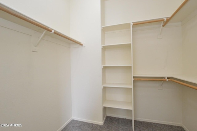 walk in closet featuring carpet