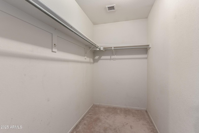 walk in closet with carpet flooring