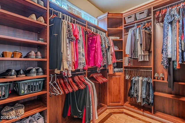 spacious closet with wood-type flooring