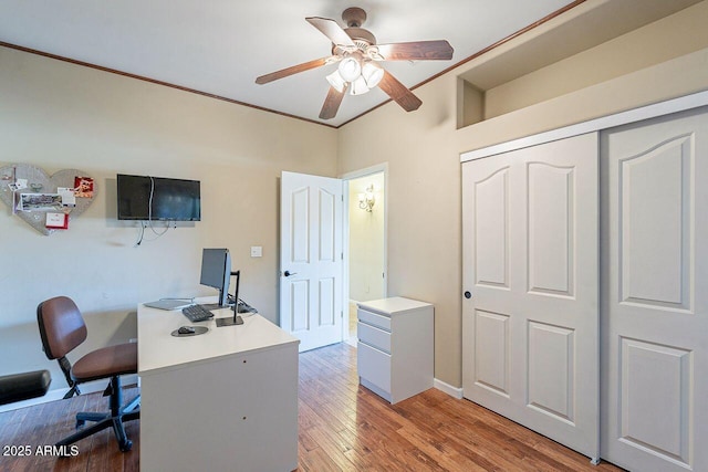 office with ceiling fan and hardwood / wood-style floors