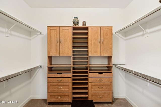 walk in closet featuring dark carpet