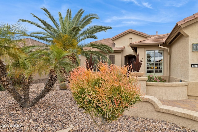 doorway to property with stucco siding and a tiled roof