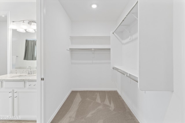 walk in closet with sink and light carpet