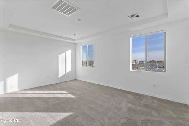 spare room with plenty of natural light, light colored carpet, and a tray ceiling