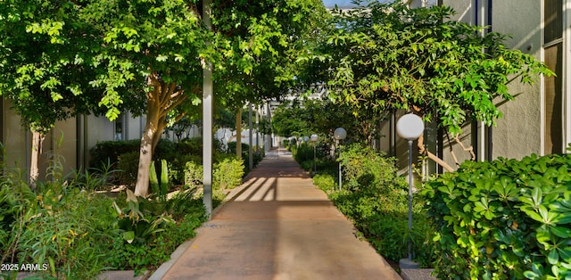 view of surrounding community