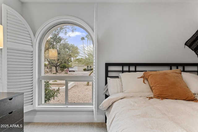 bedroom with multiple windows