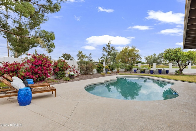 view of pool featuring a fenced in pool, a patio, and fence