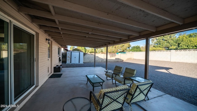 view of patio / terrace with a shed