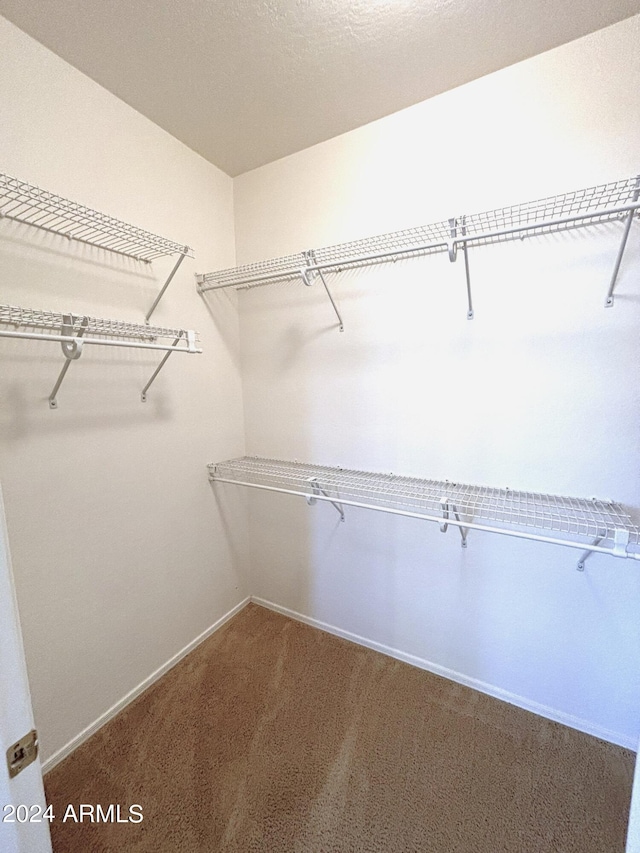 spacious closet with carpet floors