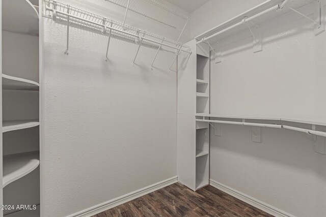 spacious closet featuring dark hardwood / wood-style flooring