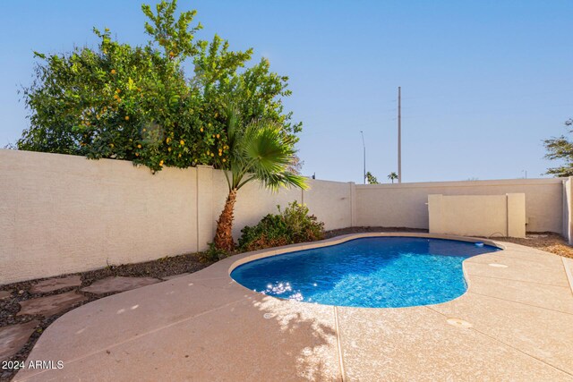 view of swimming pool