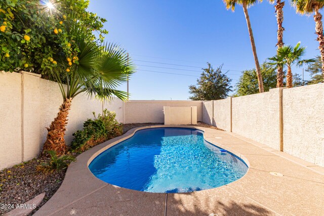 view of swimming pool