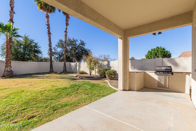 view of yard featuring a patio area