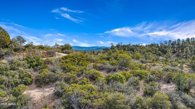 Listing photo 3 for 0 Galaxy Ln Unit J, Prescott AZ 86303