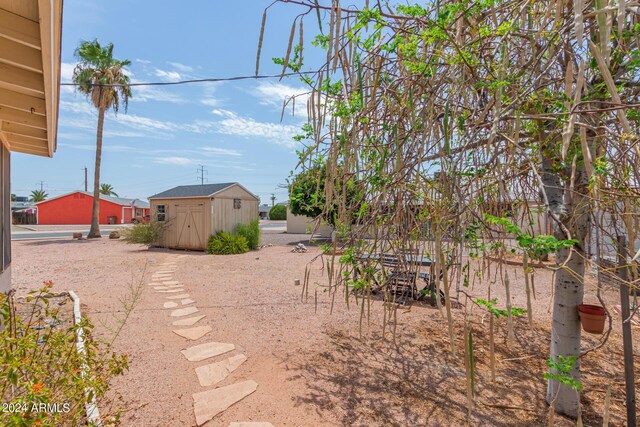 view of yard featuring a storage unit