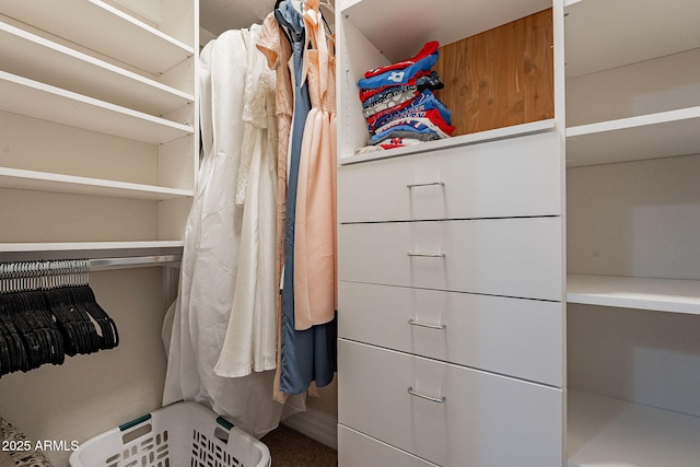 view of spacious closet