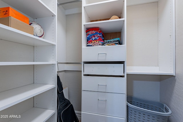 view of walk in closet