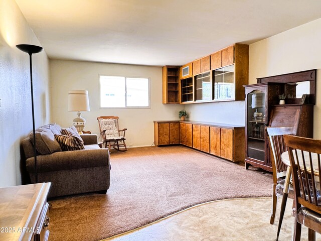 view of carpeted living area