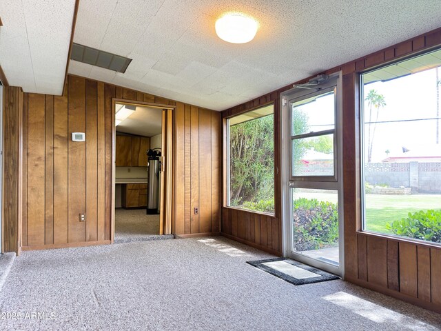 spare room featuring wooden walls, plenty of natural light, and carpet floors