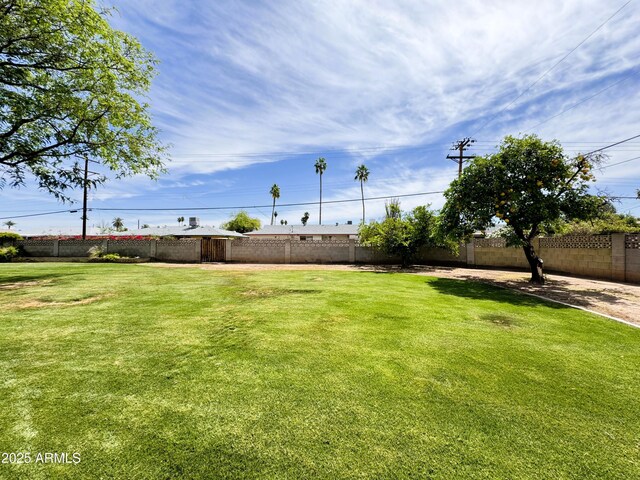 view of yard with a fenced backyard