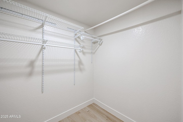 walk in closet featuring hardwood / wood-style flooring