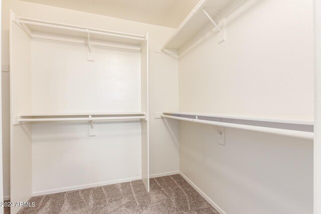 walk in closet featuring carpet floors