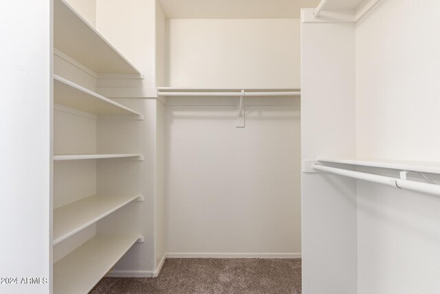 walk in closet with carpet flooring