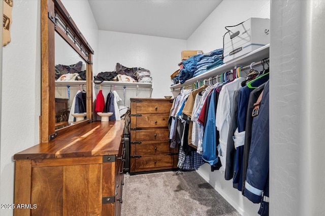 walk in closet with carpet flooring