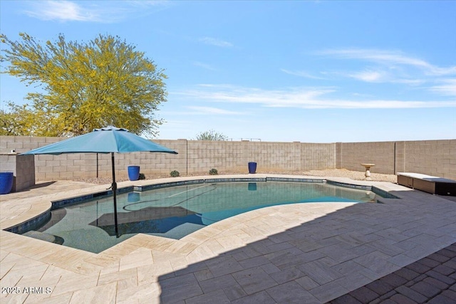 view of swimming pool featuring a fenced in pool, a patio, and a fenced backyard