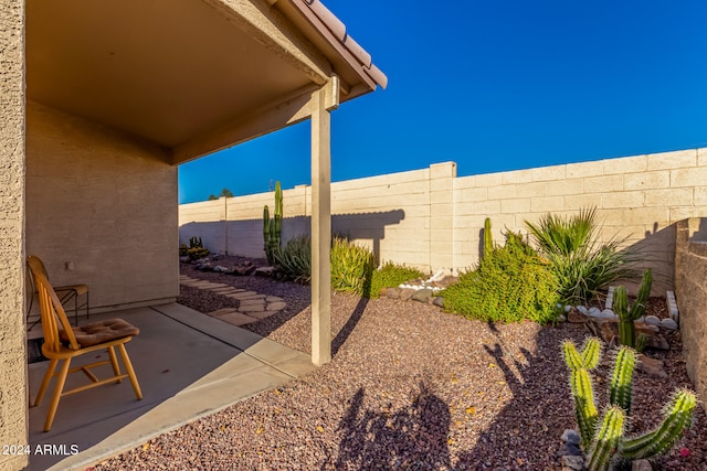 view of yard with a patio area