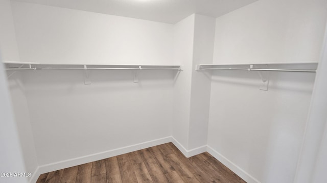 walk in closet featuring dark hardwood / wood-style floors