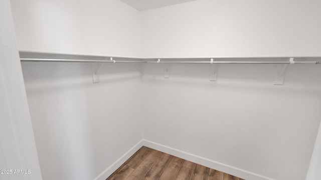 spacious closet featuring hardwood / wood-style flooring