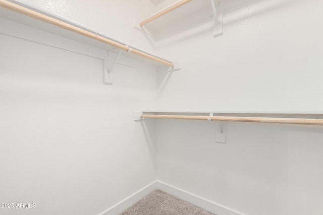 walk in closet featuring carpet