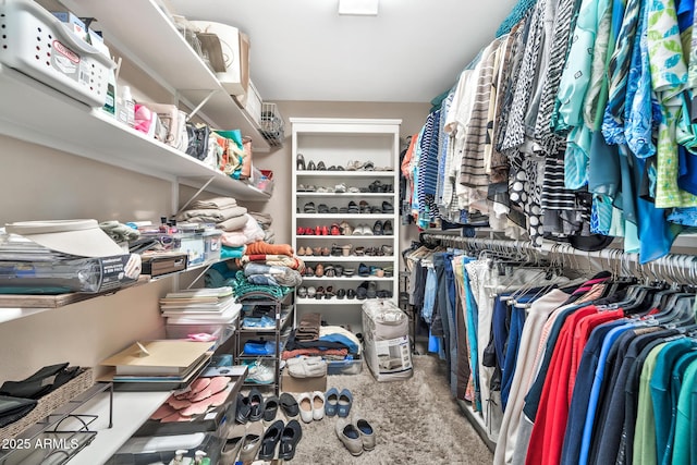 walk in closet with carpet flooring