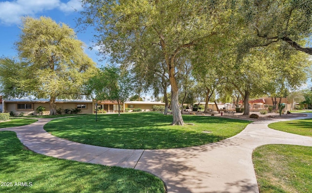 view of community featuring a yard