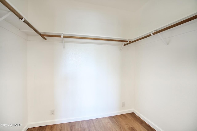 spacious closet featuring wood finished floors