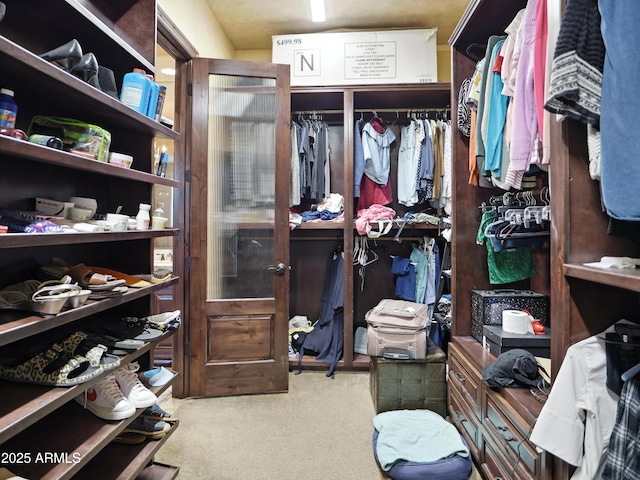 2822 E Constance Way, Phoenix, AZ 85042 - walk in closet with carpet flooring