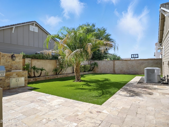 2822 E Constance Way, Phoenix, AZ 85042 - fenced backyard featuring a patio area and area for grilling