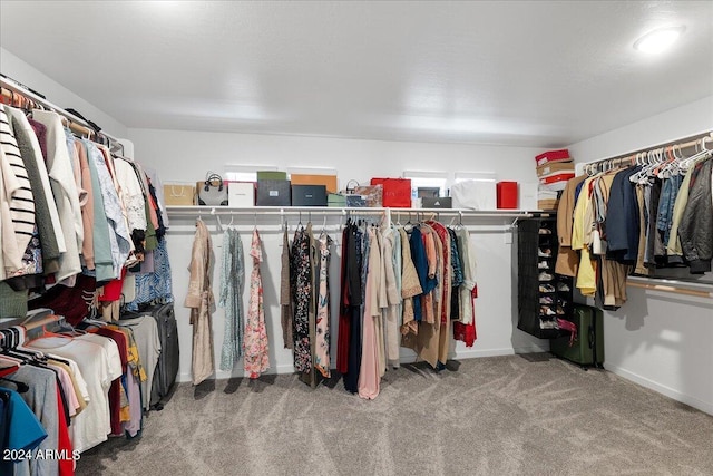 spacious closet with light carpet