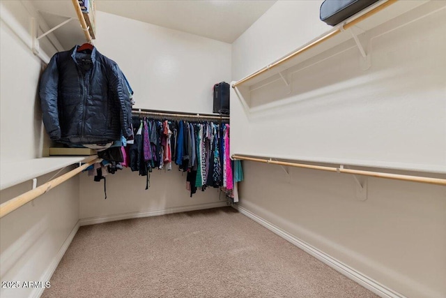 walk in closet featuring carpet flooring