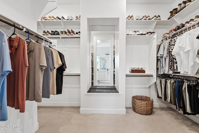 walk in closet featuring carpet flooring