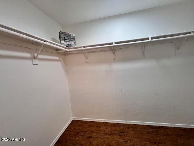 spacious closet featuring dark hardwood / wood-style floors