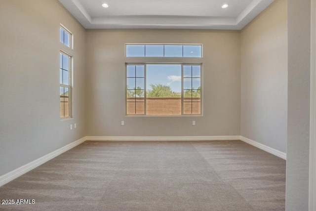 unfurnished room with carpet, baseboards, and a wealth of natural light