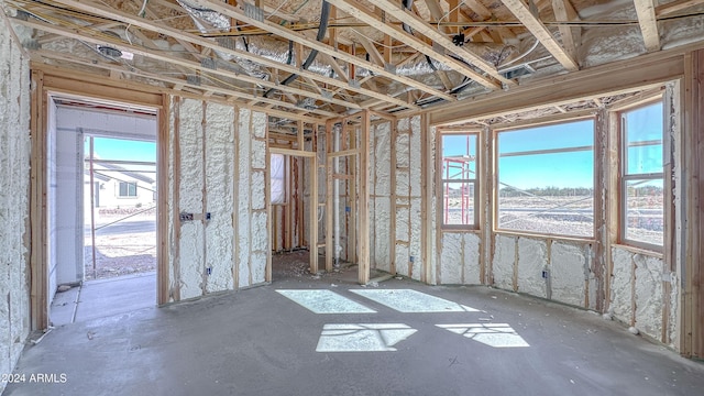 miscellaneous room with plenty of natural light