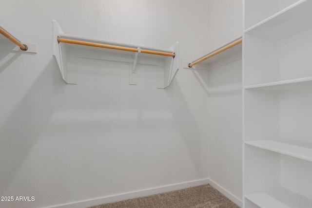 walk in closet with carpet