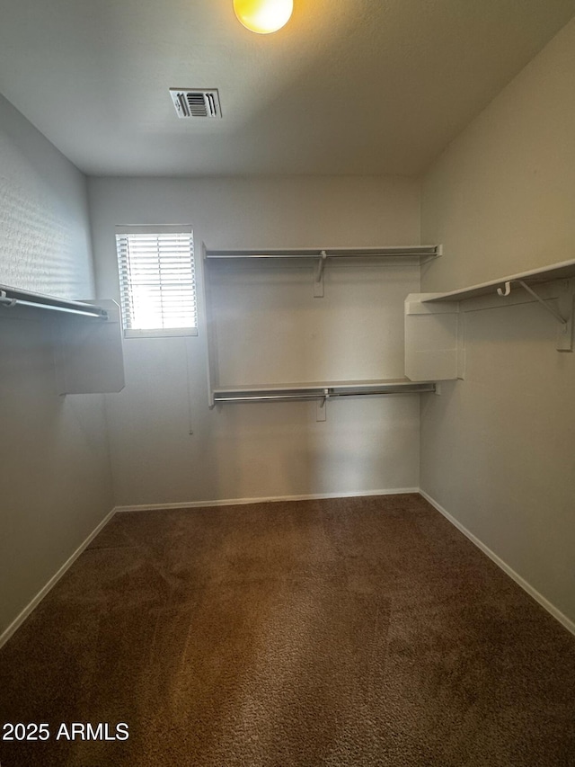 876 S Colonial Dr, Gilbert, AZ 85296 - walk in closet with carpet