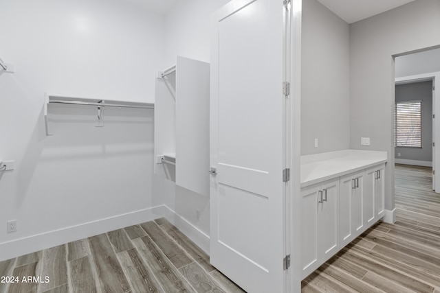 spacious closet featuring light wood-type flooring